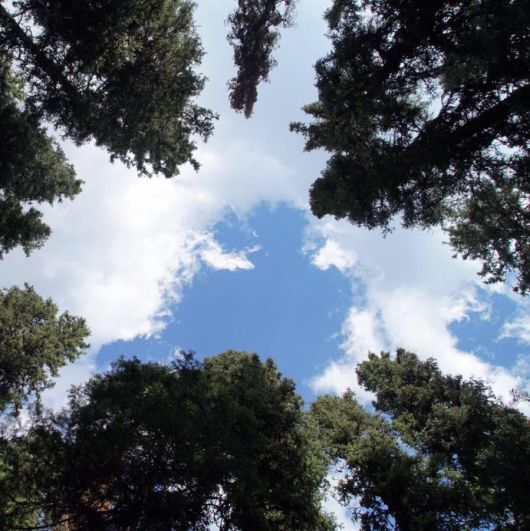 Tanja Ritter_pixelio.de, offener Himmel